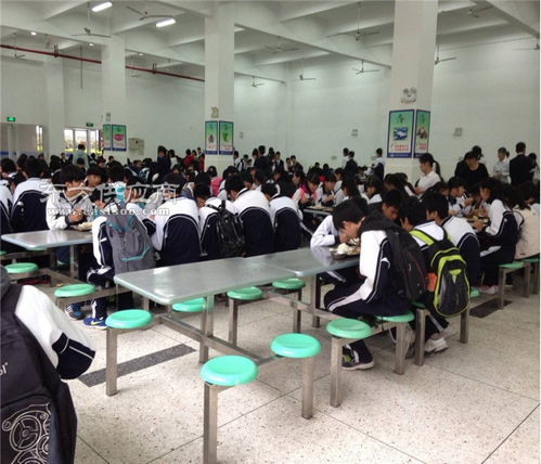 智慧餐飲服務(wù)與教育咨詢 一站式解決方案，助力企業(yè)發(fā)展